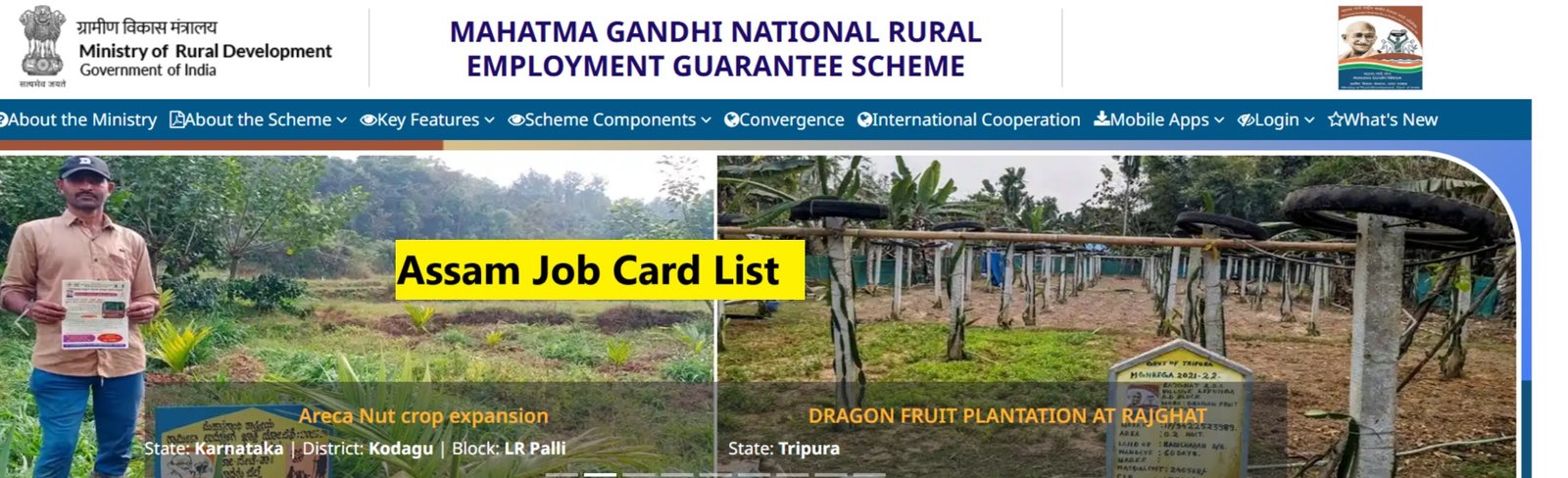 Assam Job Card List