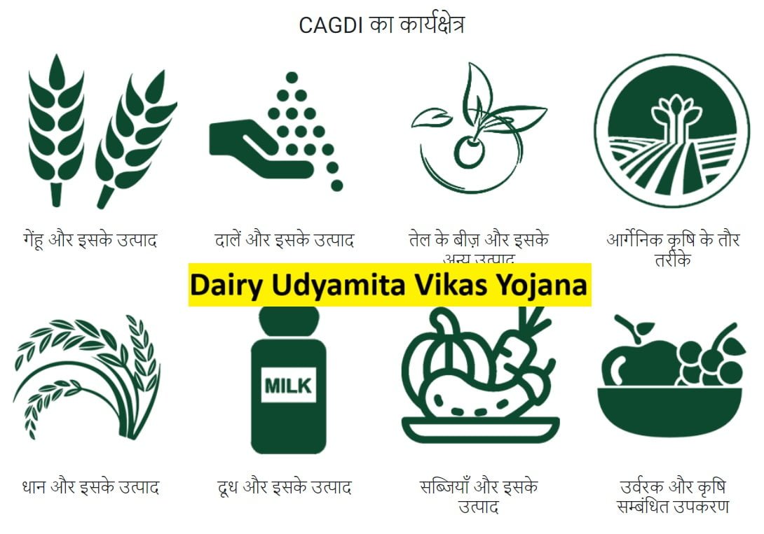 Dairy Udyamita Vikas Yojana