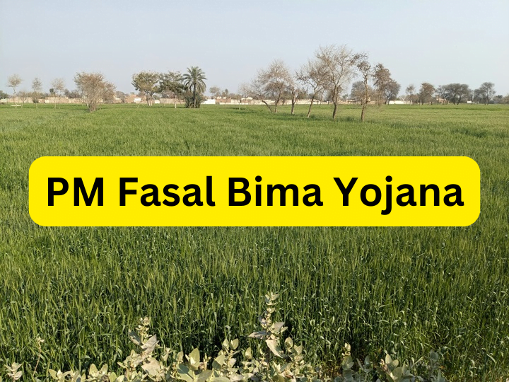 PM Fasal Bima Yojana